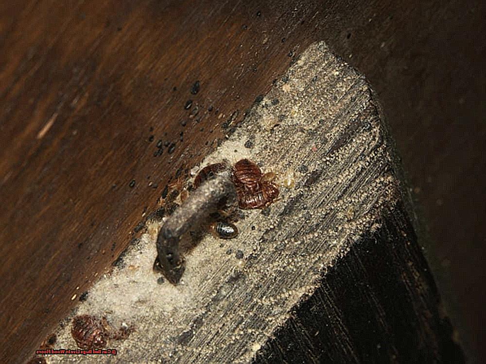 Can Bed Bugs Live In Wood Floors-2