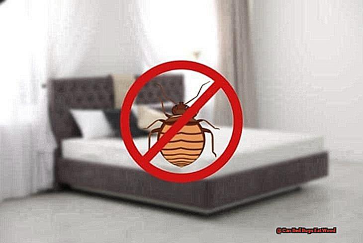 Can Lizards Be Killed By Cockroach Spray-3