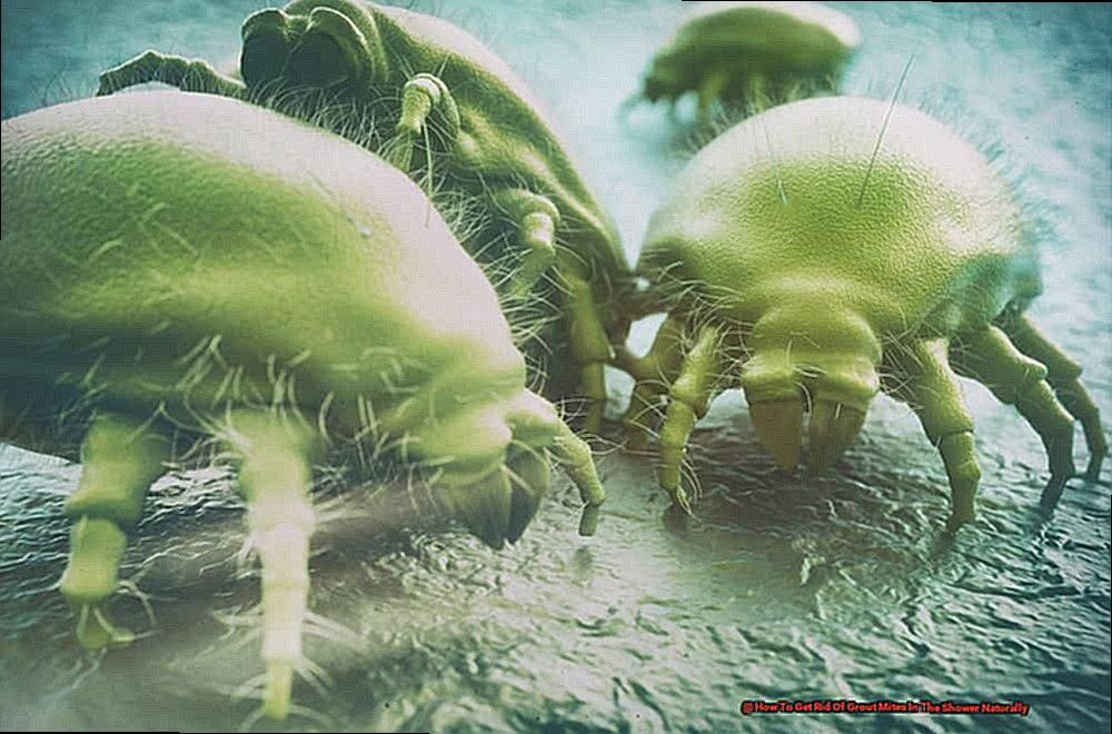 How To Get Rid Of Grout Mites In The Shower Naturally-2
