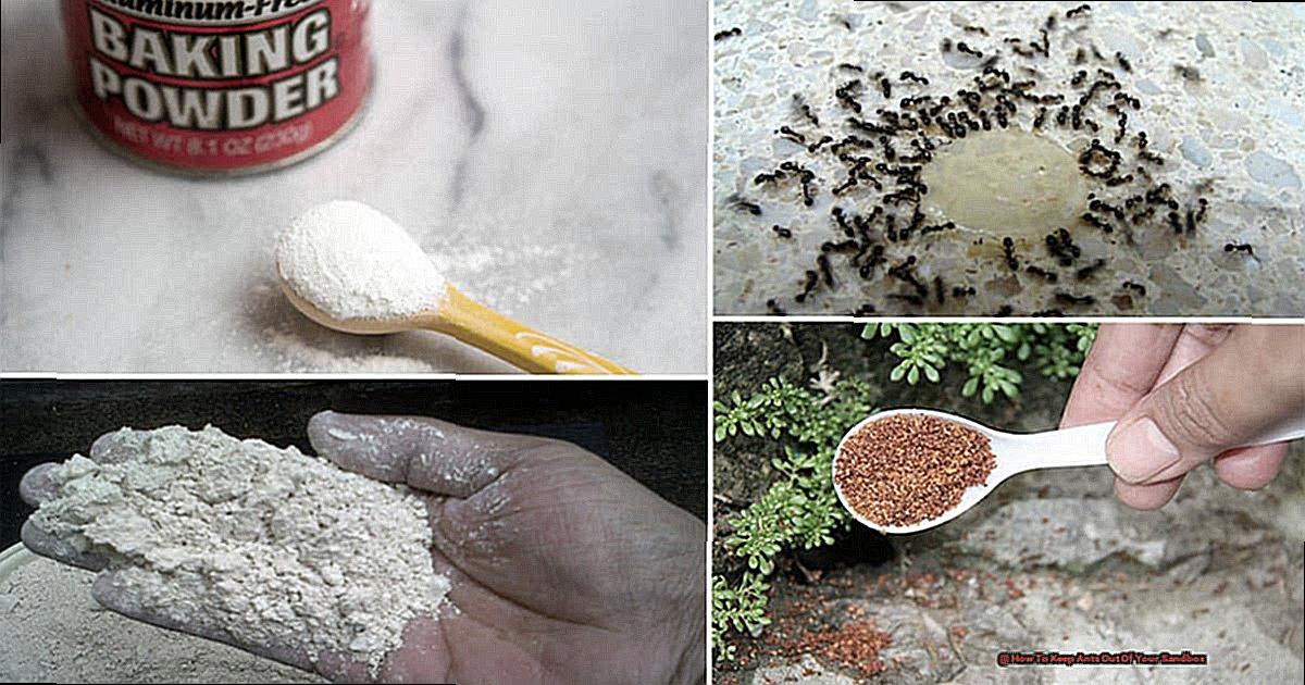 How To Keep Ants Out Of Your Sandbox-6