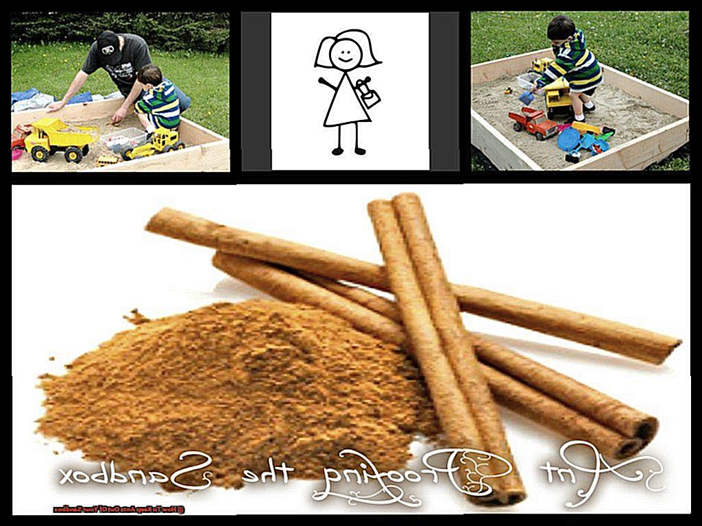 How To Keep Ants Out Of Your Sandbox-3