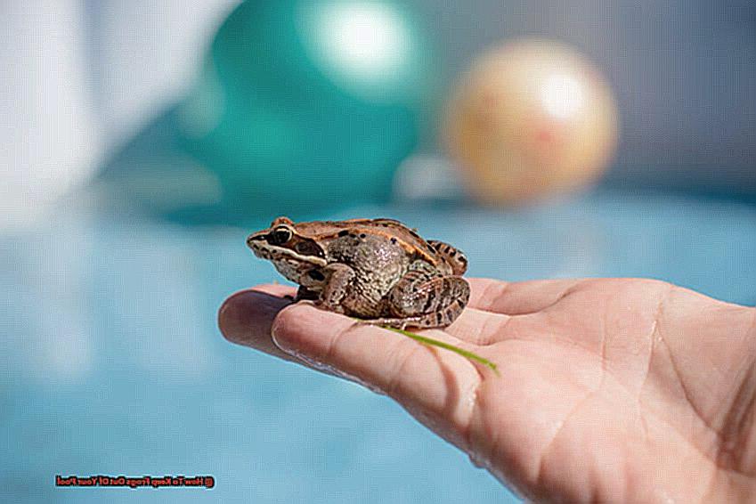 How To Keep Frogs Out Of Your Pool-7