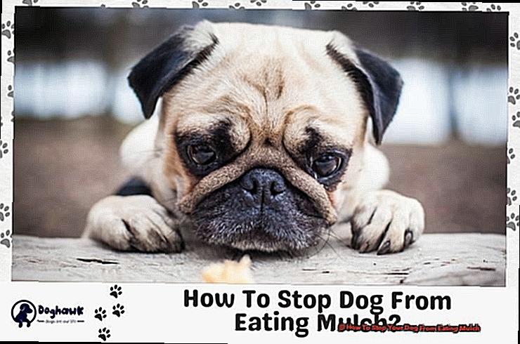 How To Stop Your Dog From Eating Mulch-2