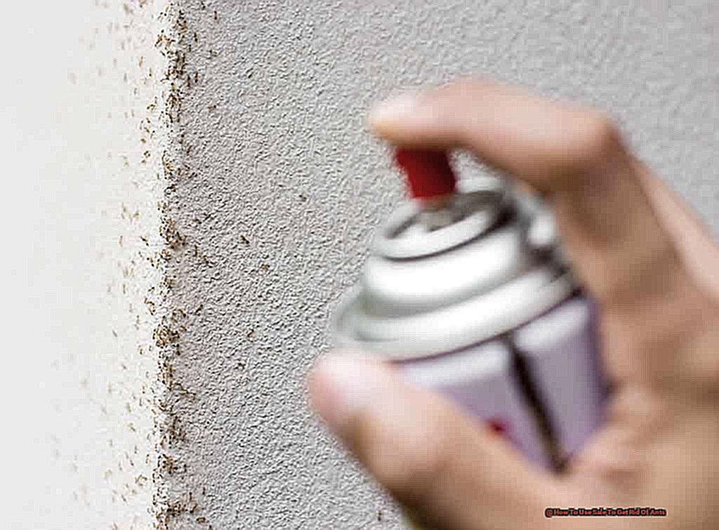 How To Use Sale To Get Rid Of Ants-3