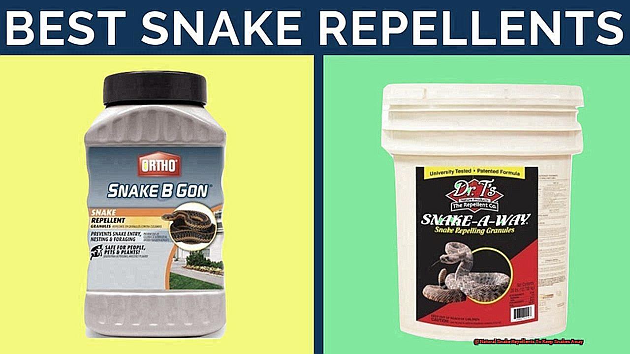Natural Snake Repellents To Keep Snakes Away-3